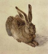 Albrecht Durer hare oil painting artist